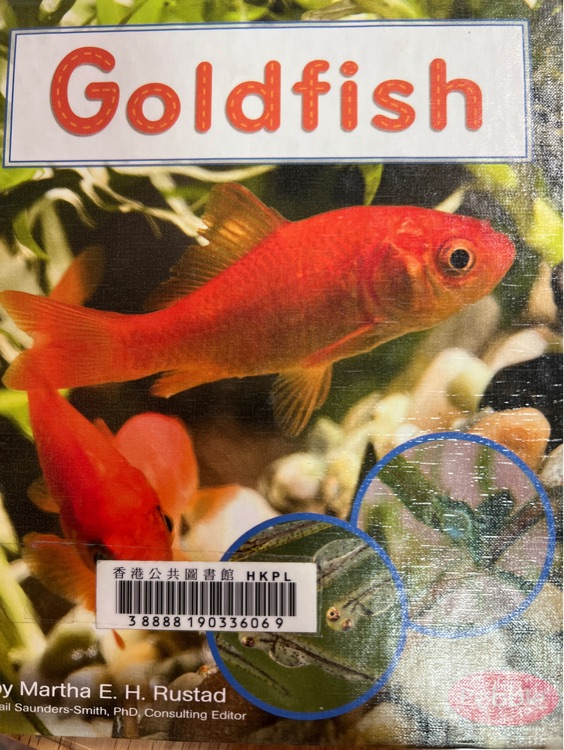 goldfish