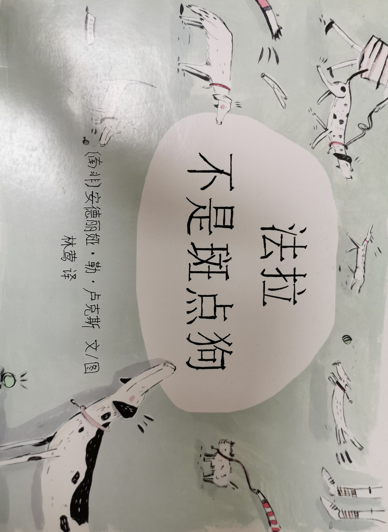 法拉不是斑點(diǎn)狗