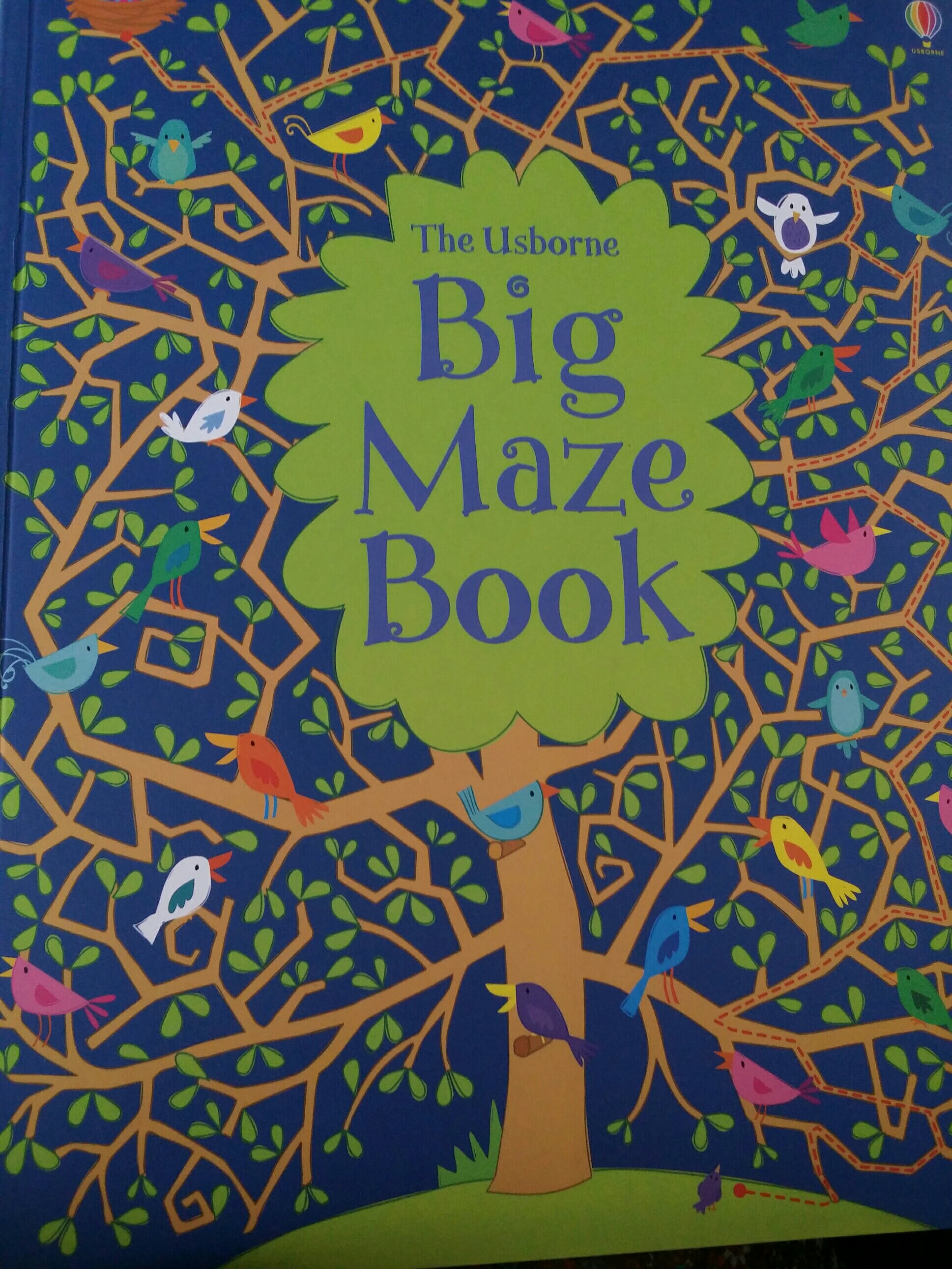 The Usborne Big Maze Book