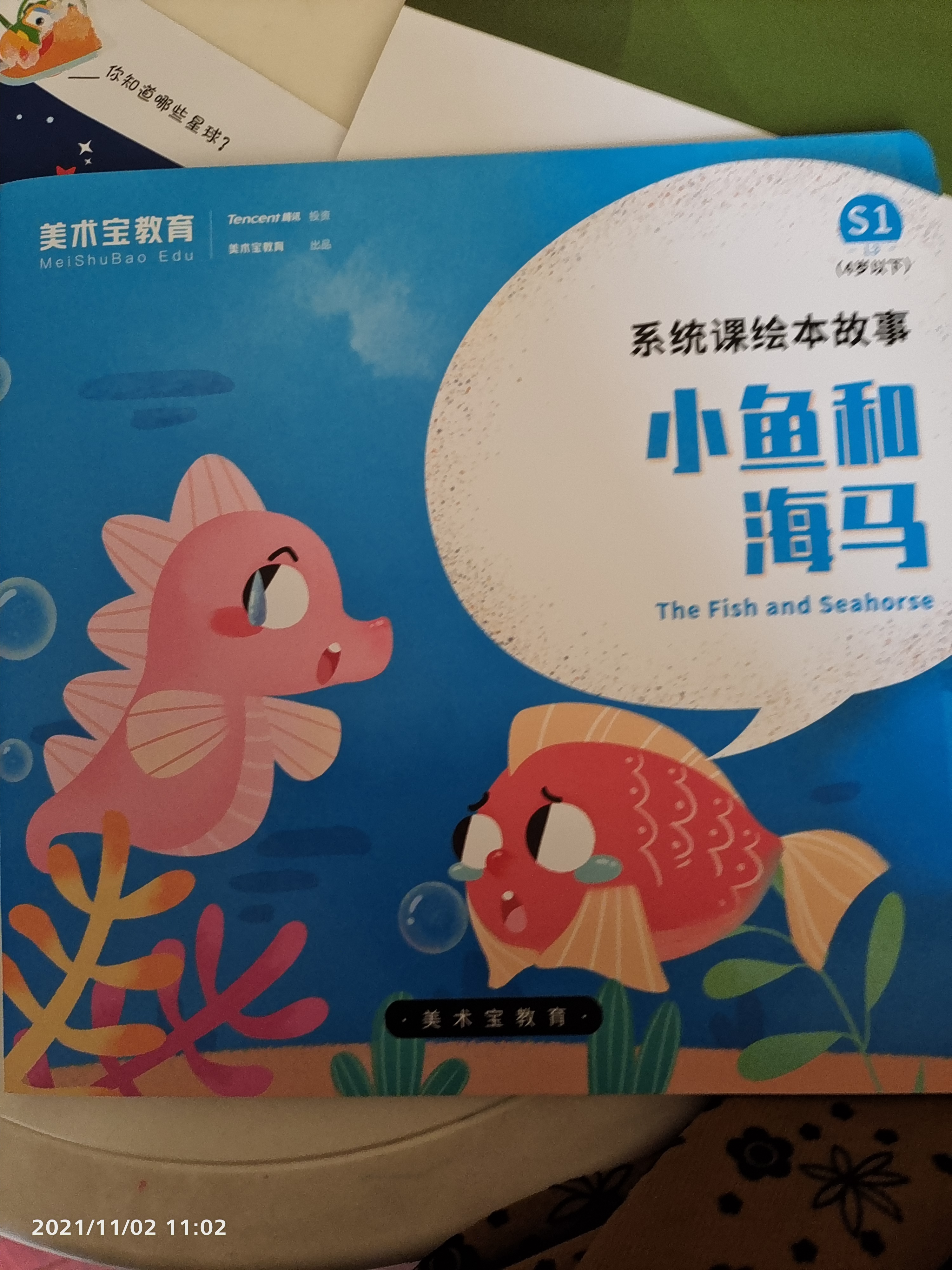 小魚和海馬