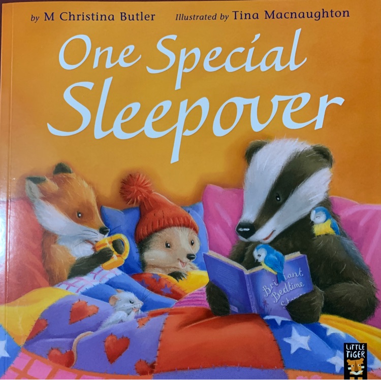 One special sleep over