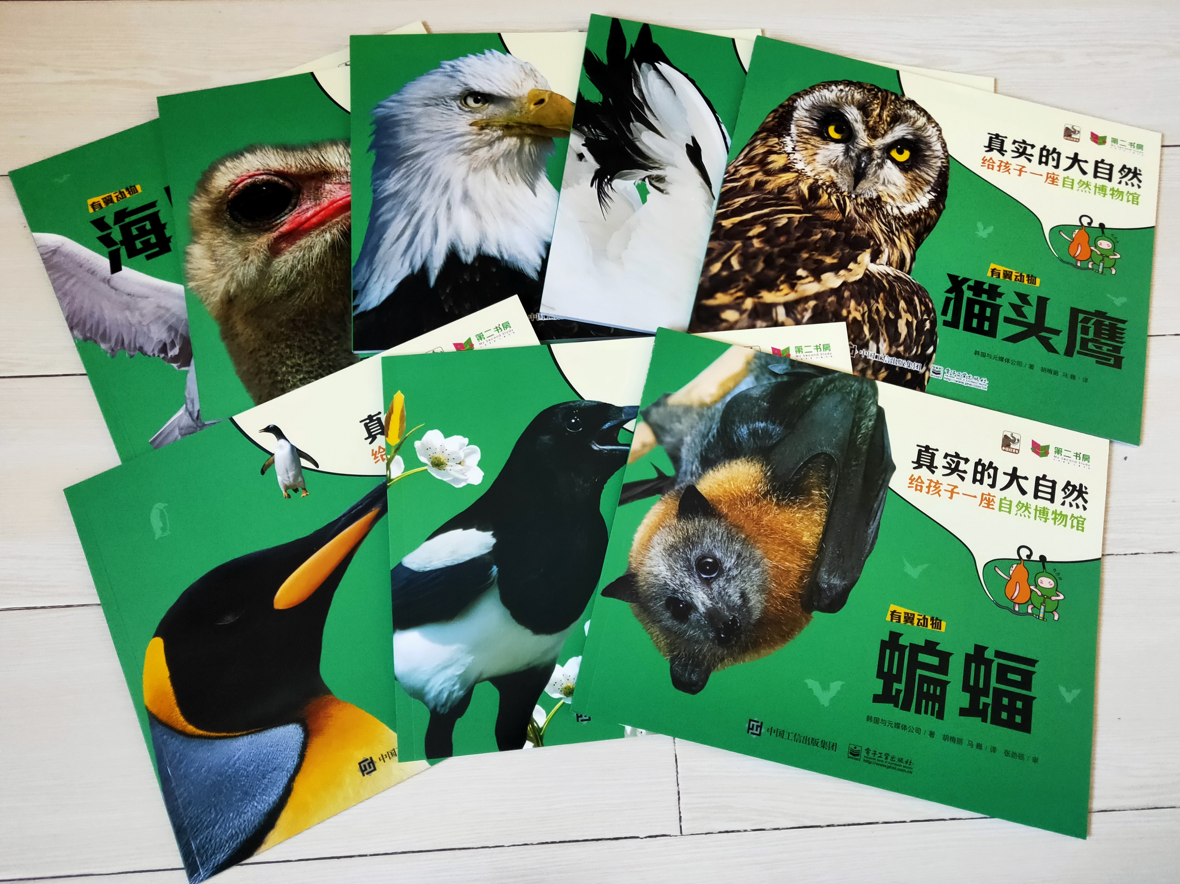 真實的大自然有翼動物8冊