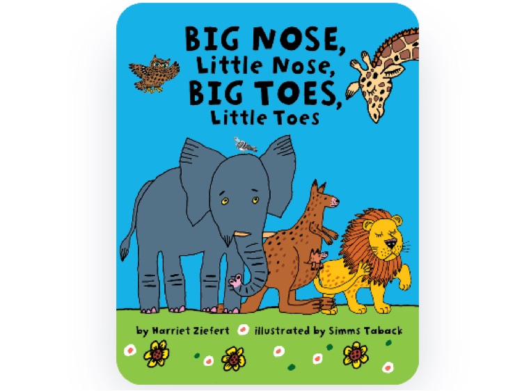 Big nose,little nose,big toes,little toes