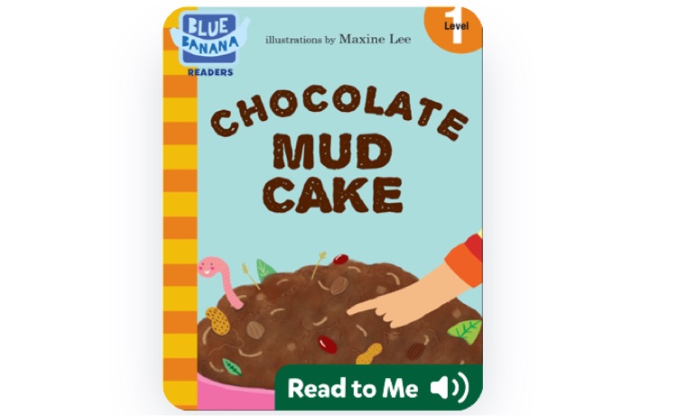 Chocolate mud cake