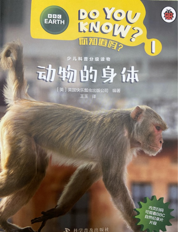 動(dòng)物的身體