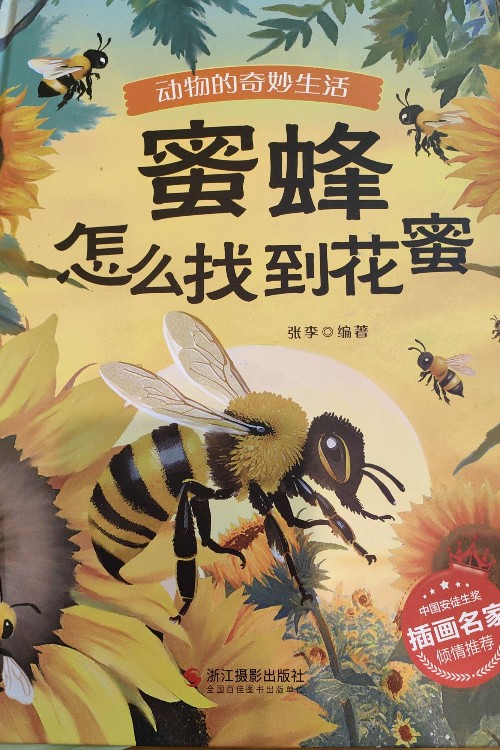 蜜蜂怎么找到花蜜