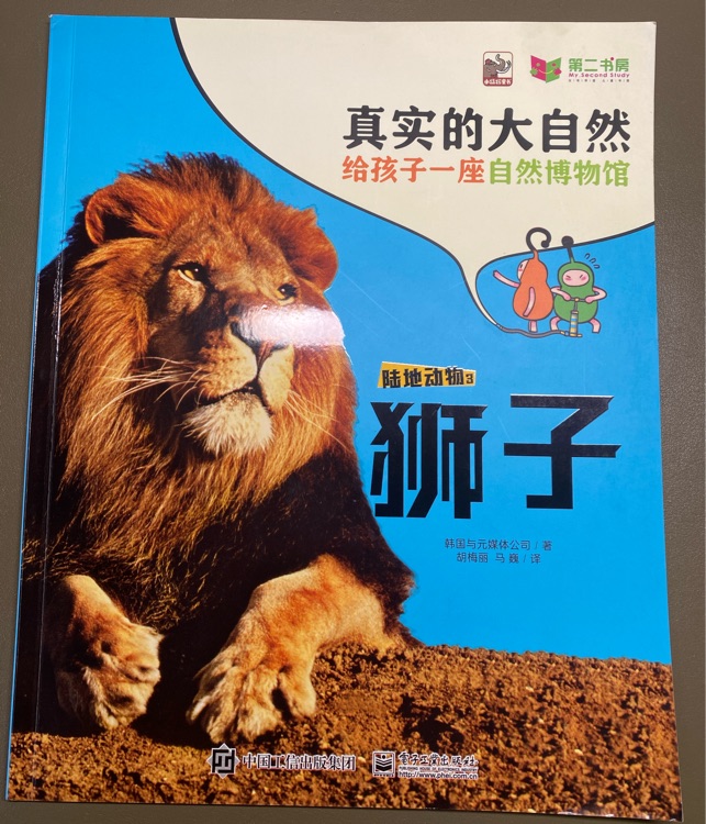 真實的大自然 陸地動物3:  獅子