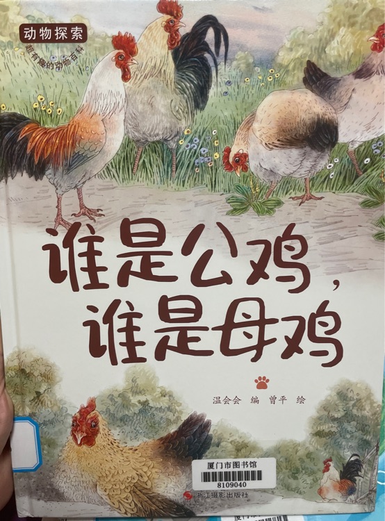 誰(shuí)是公雞, 誰(shuí)是母雞