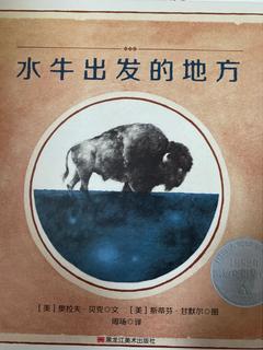 凯迪克大奖绘本: 水牛出发的地方 森林鱼童书 [3-8岁]