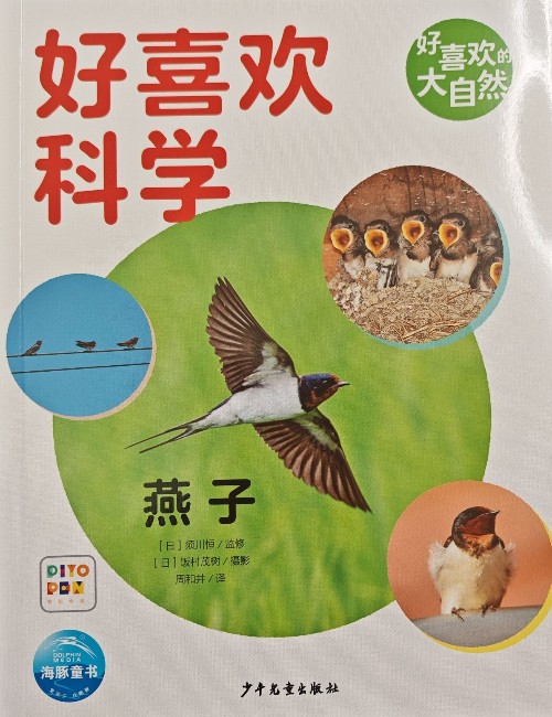 好喜歡科學(xué) 燕子