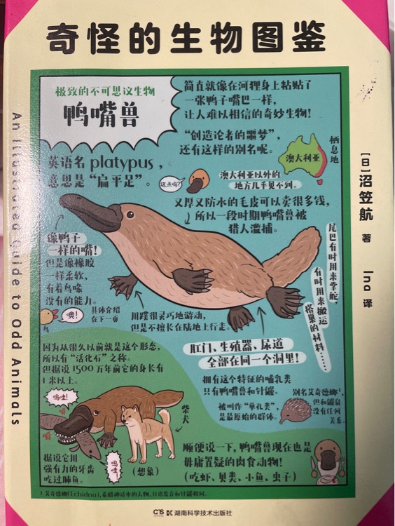 奇怪的生物圖鑒