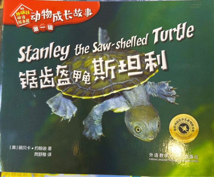 stanley the saw-shelled turtle