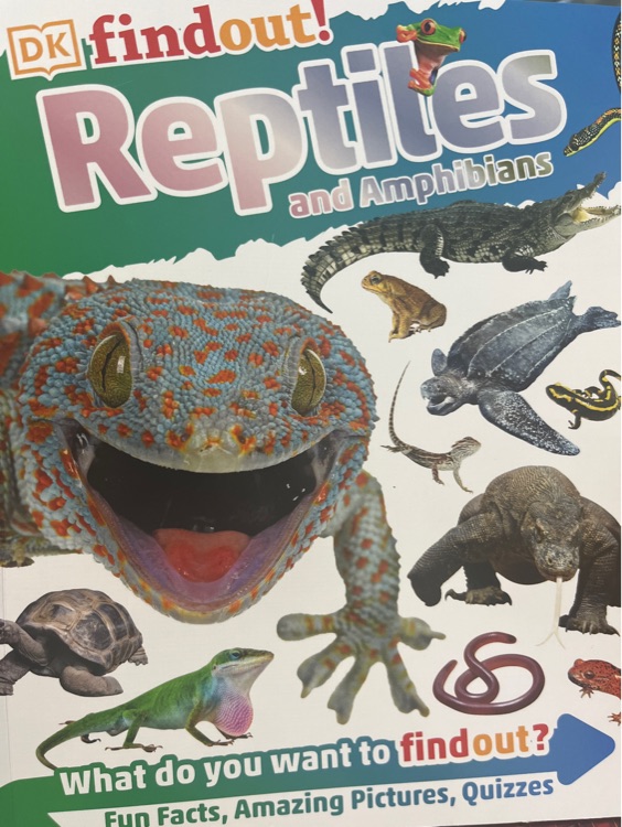 Reptiles and Amphibians