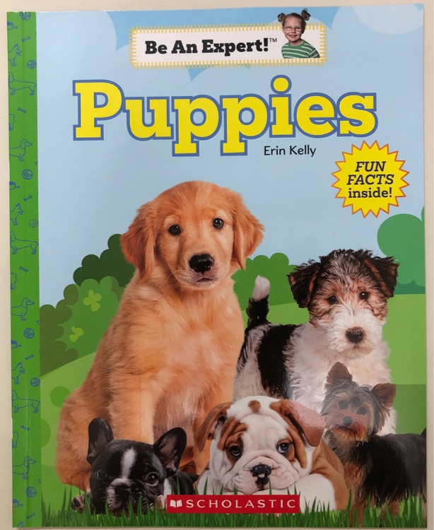 Be an expert Puppies