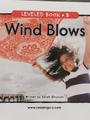 Wind Blows(RAZ B)