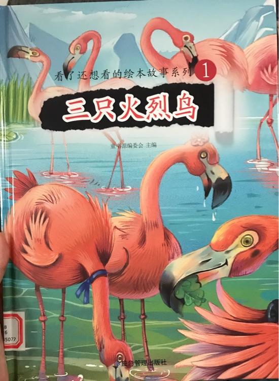 三只火烈鳥