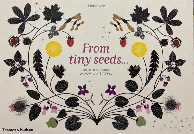 From Tiny Seeds