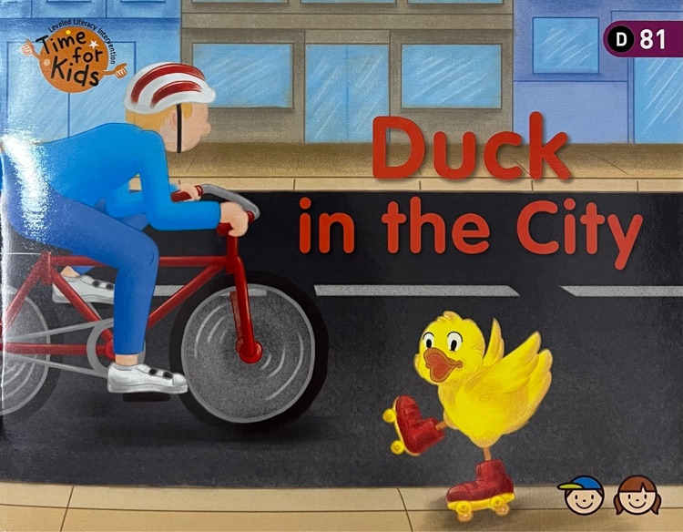 Duck in the City