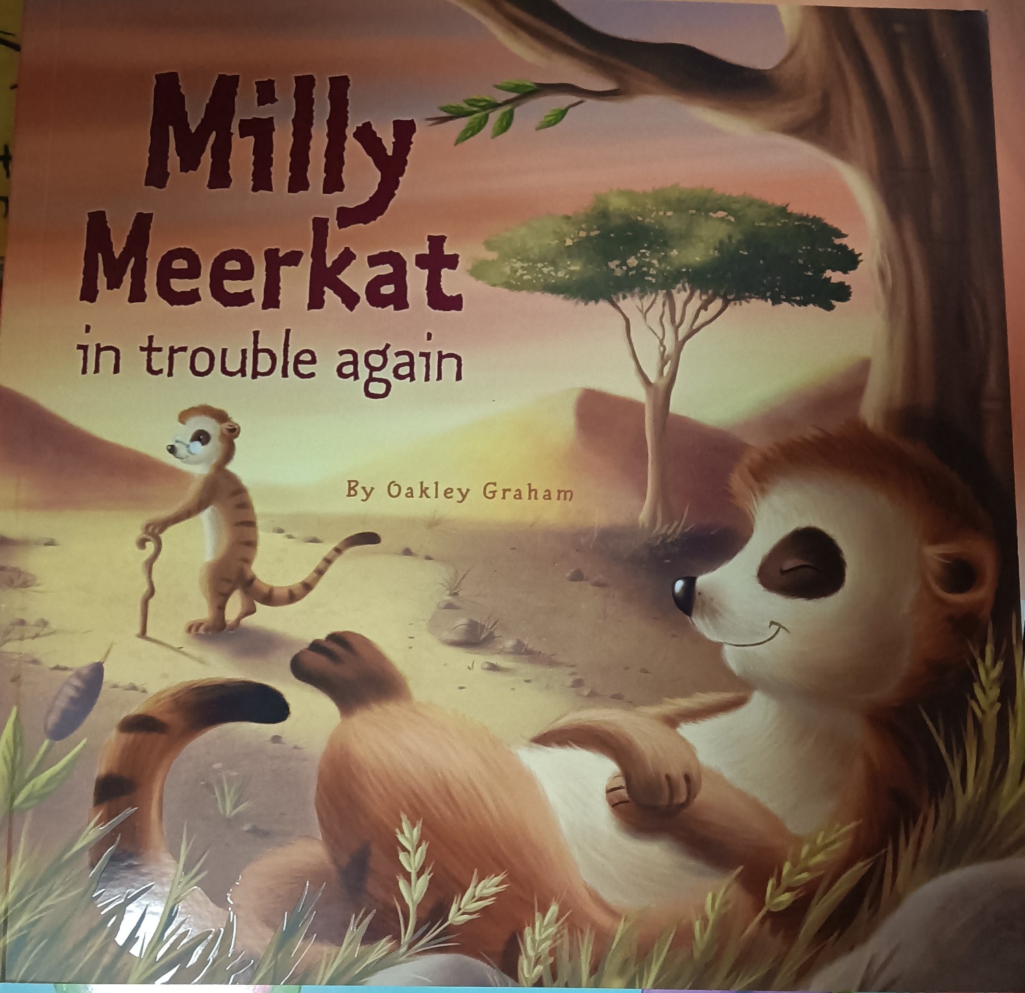 milly meerkat