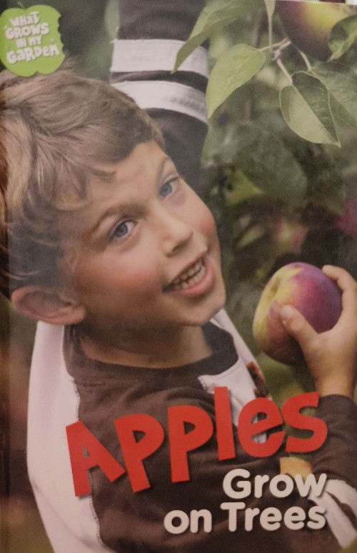 apples grow on trees