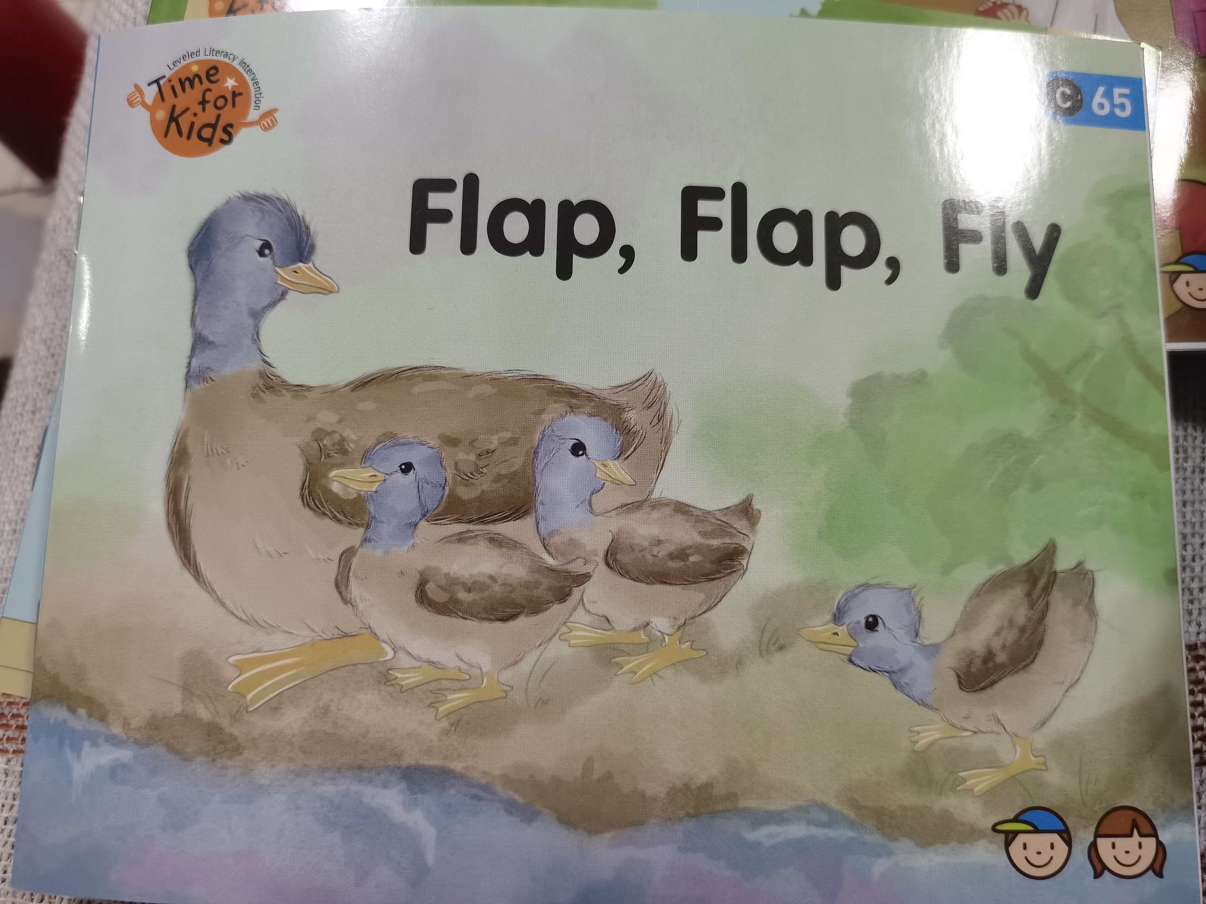 flap