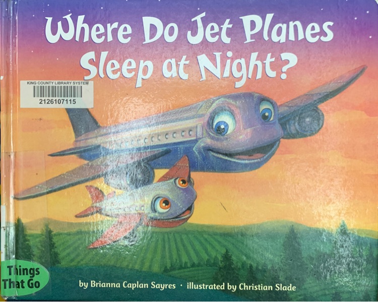 Where do jet planes sleep at night?