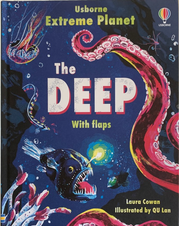 The deep with flaps