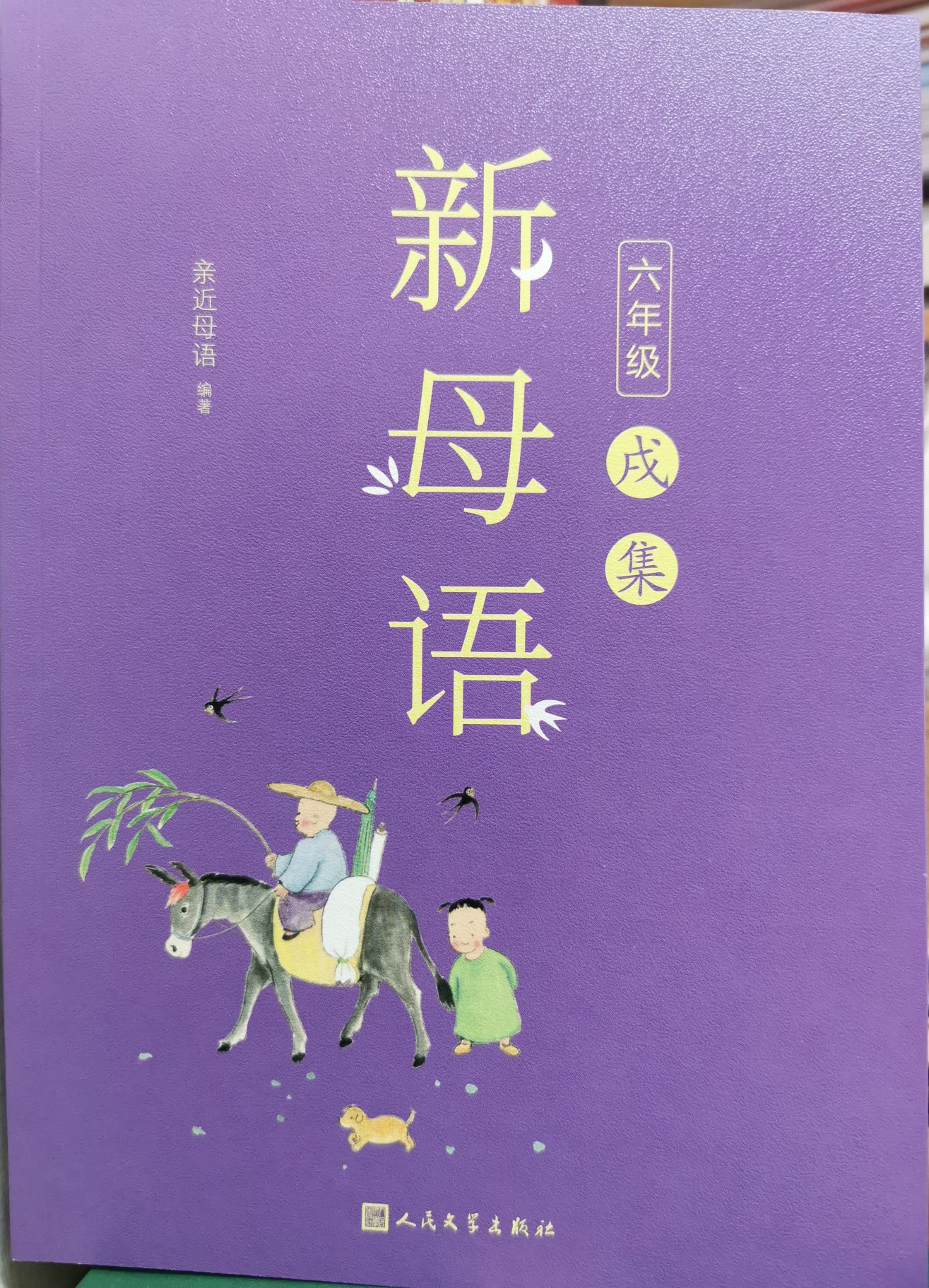 新母語 六年級 戌集