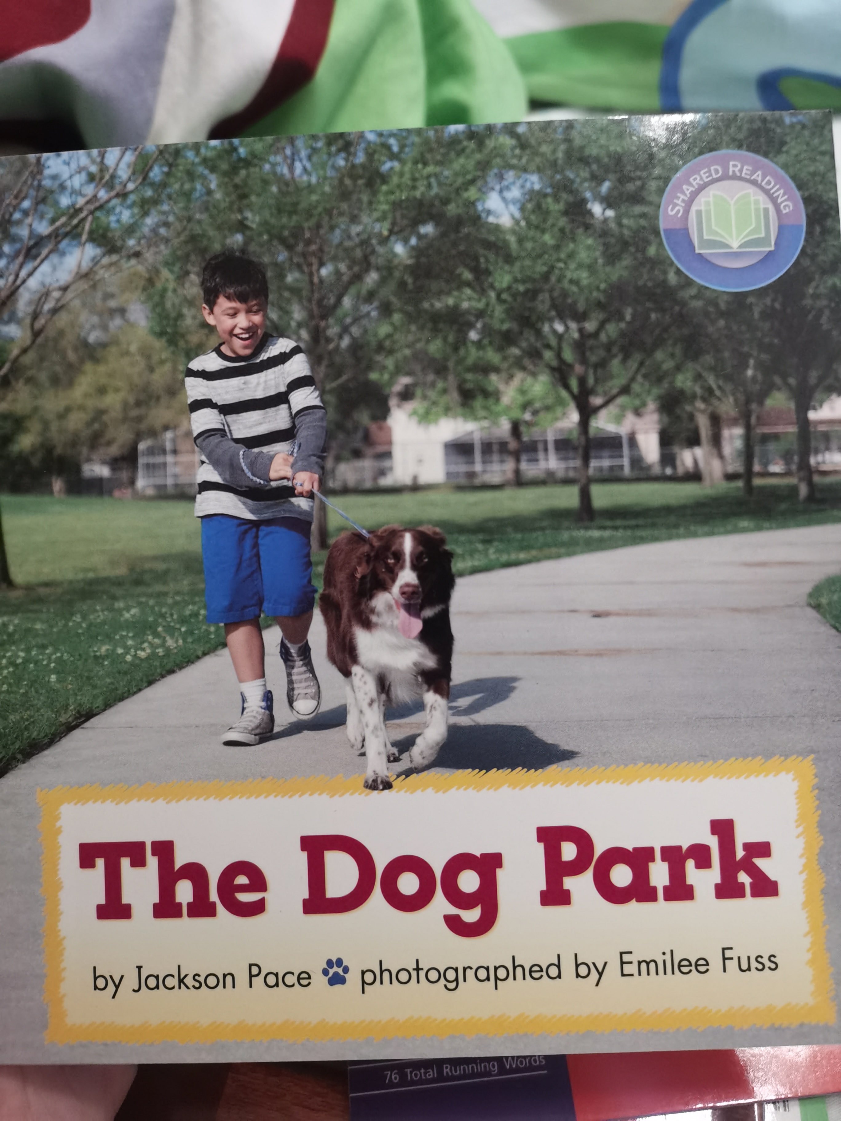 The Dog Park