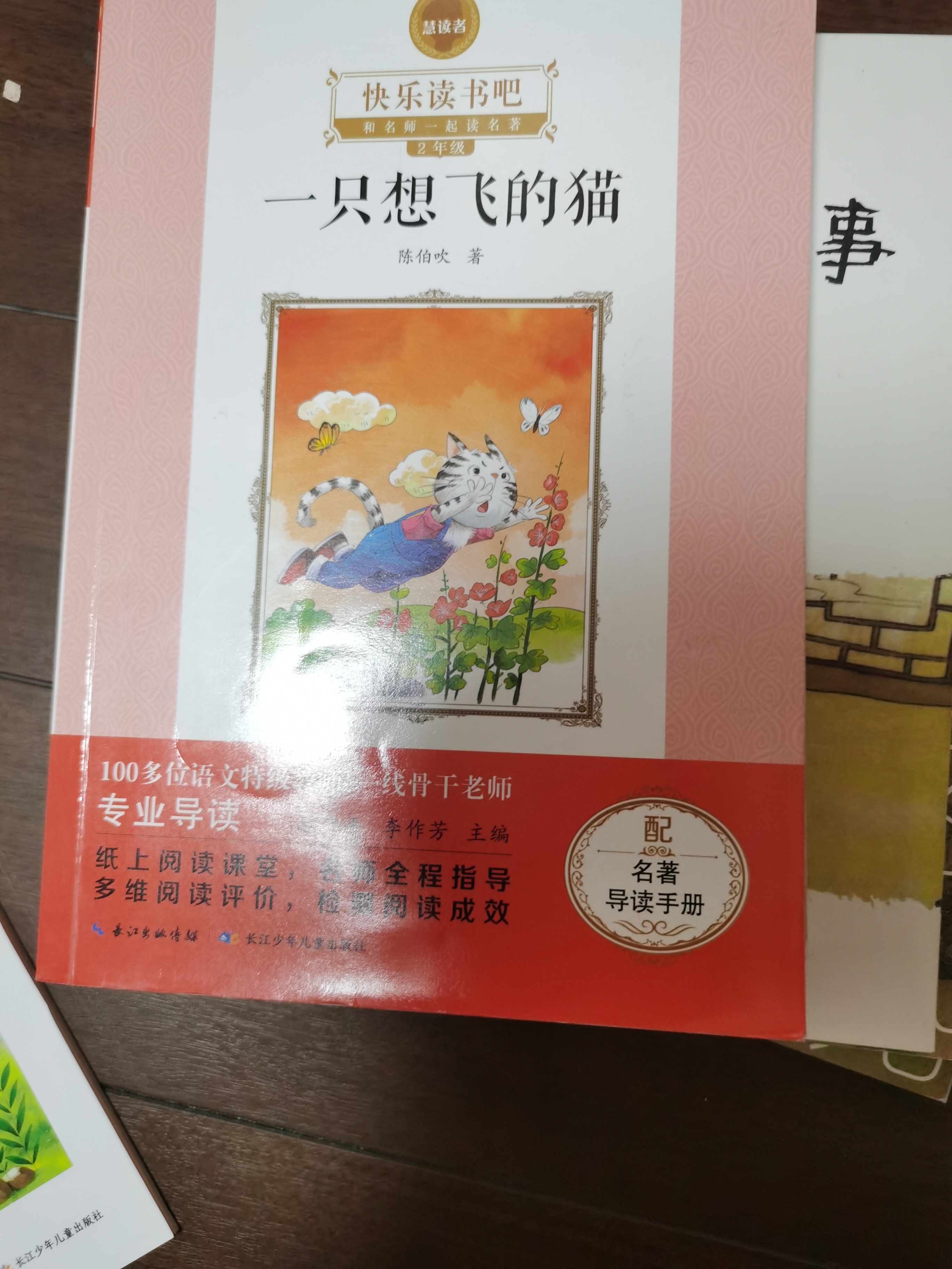 一只想飛的貓