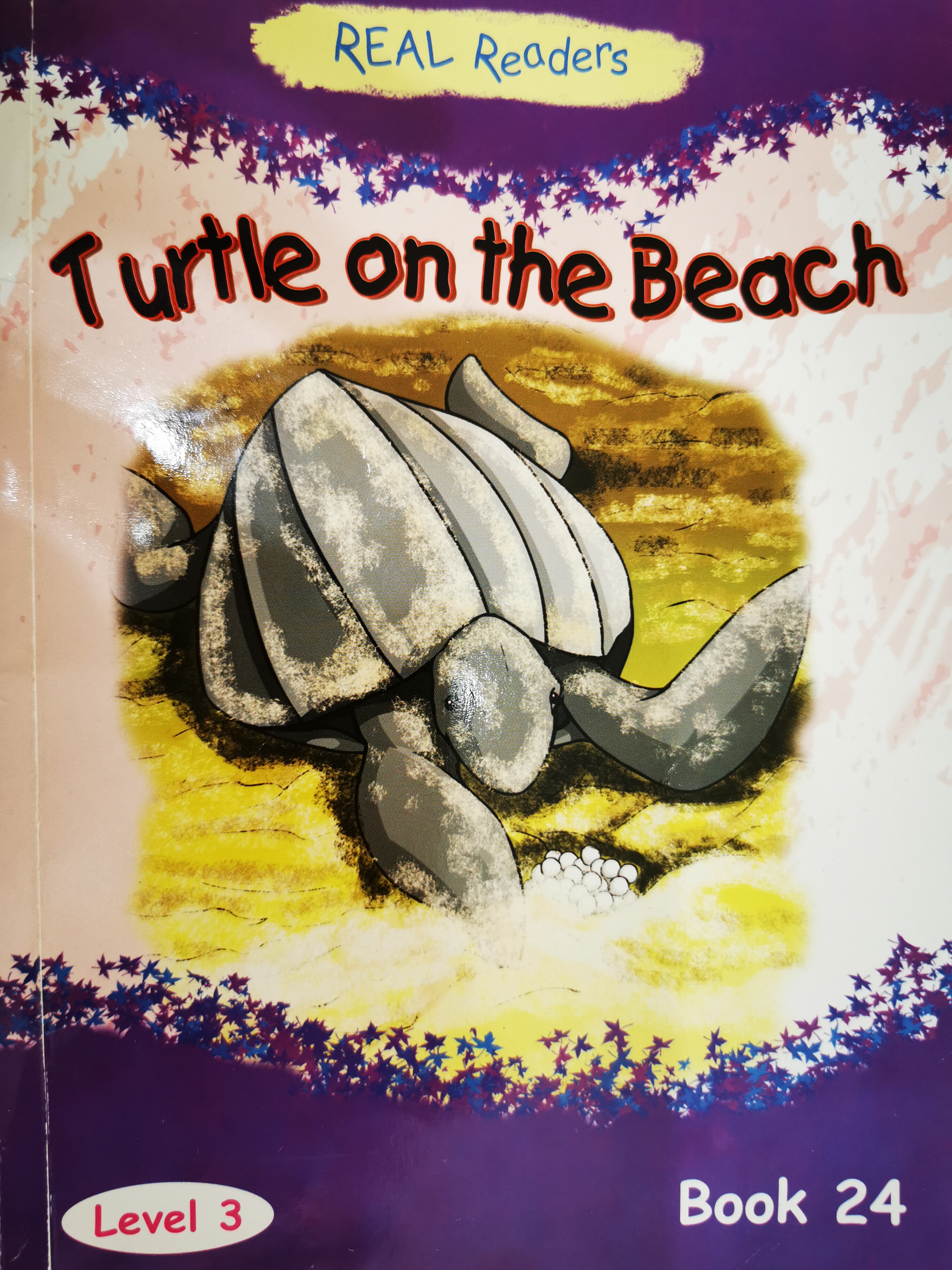 Real Readers (Turtle on the Beach)