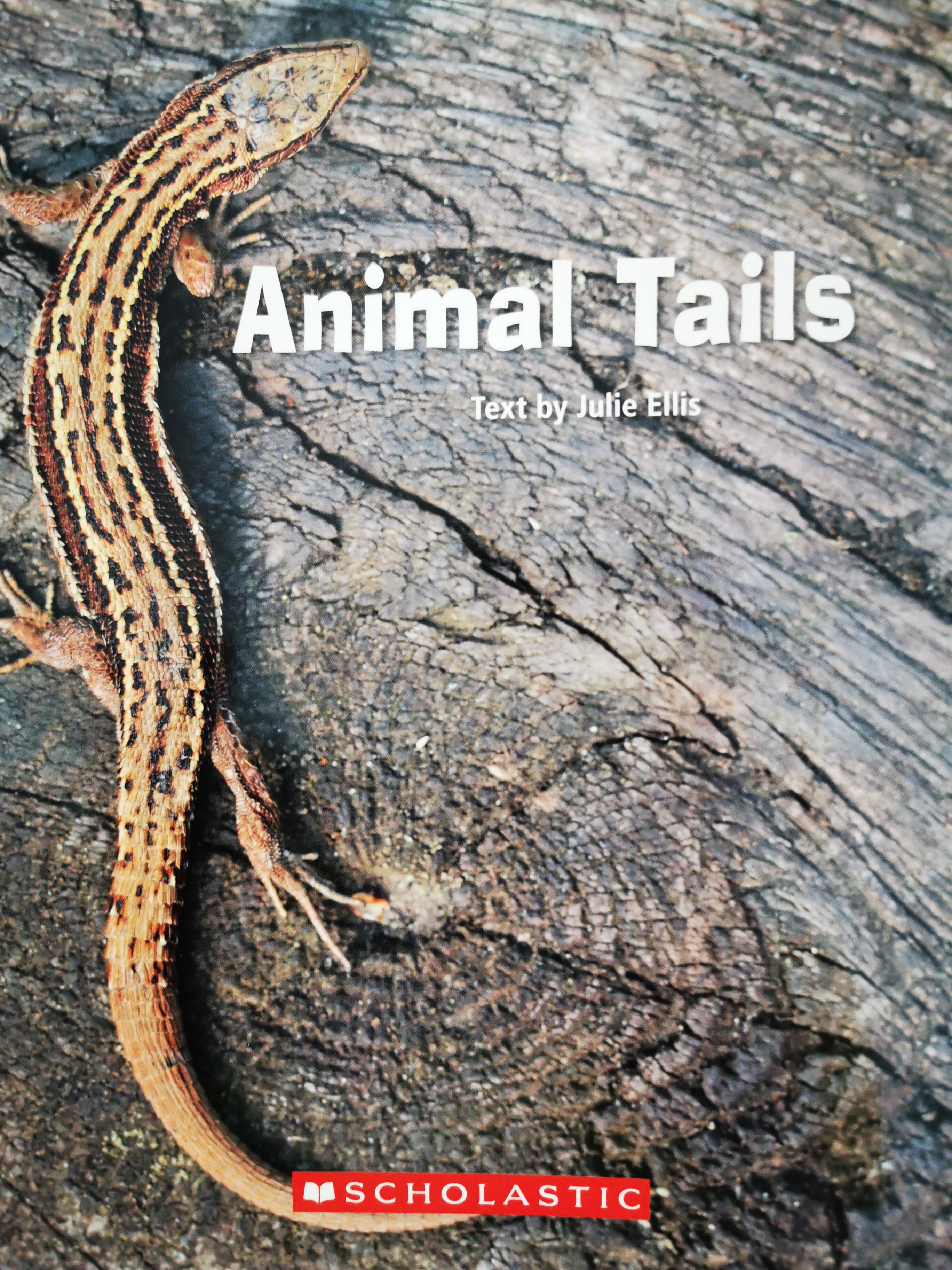 Scholastic (Animal Tails)