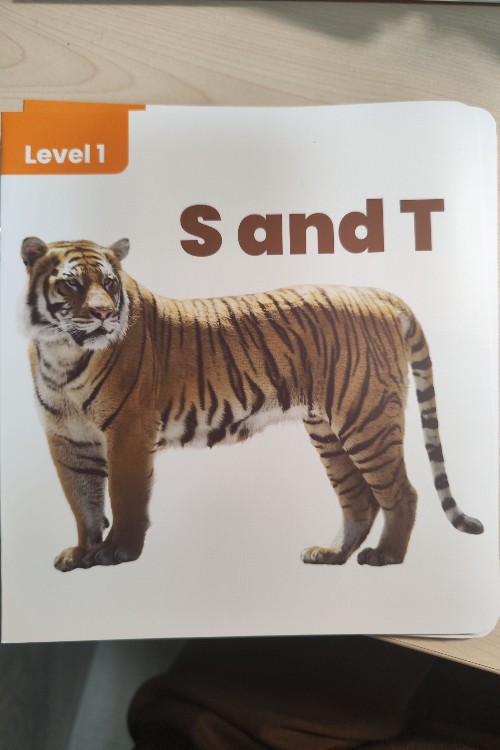 哈佛外教英語啟蒙Level1 S and T