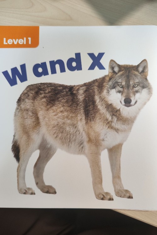 哈佛外教英語啟蒙Level 1 W and X