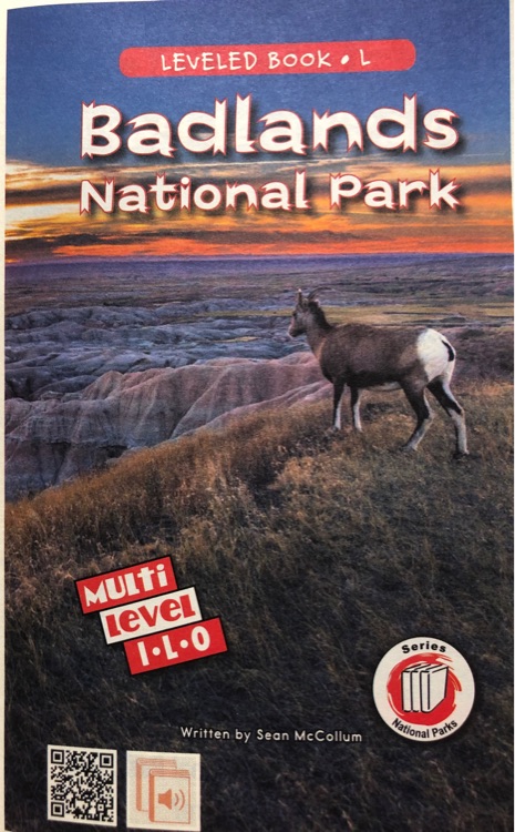 Badlands national park(raz L)