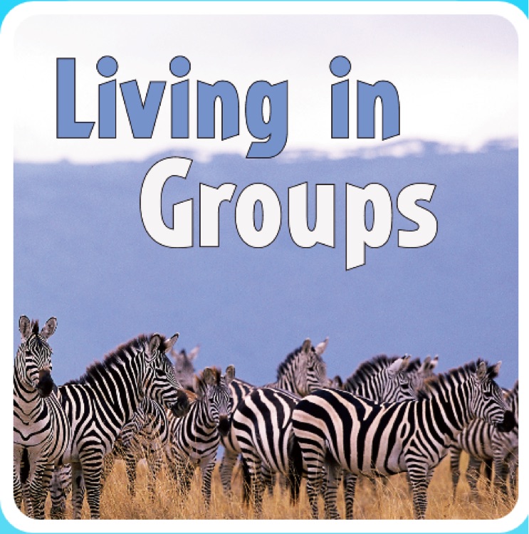 Flying Colours Level 23-25 Non-fiction: Living in Groups