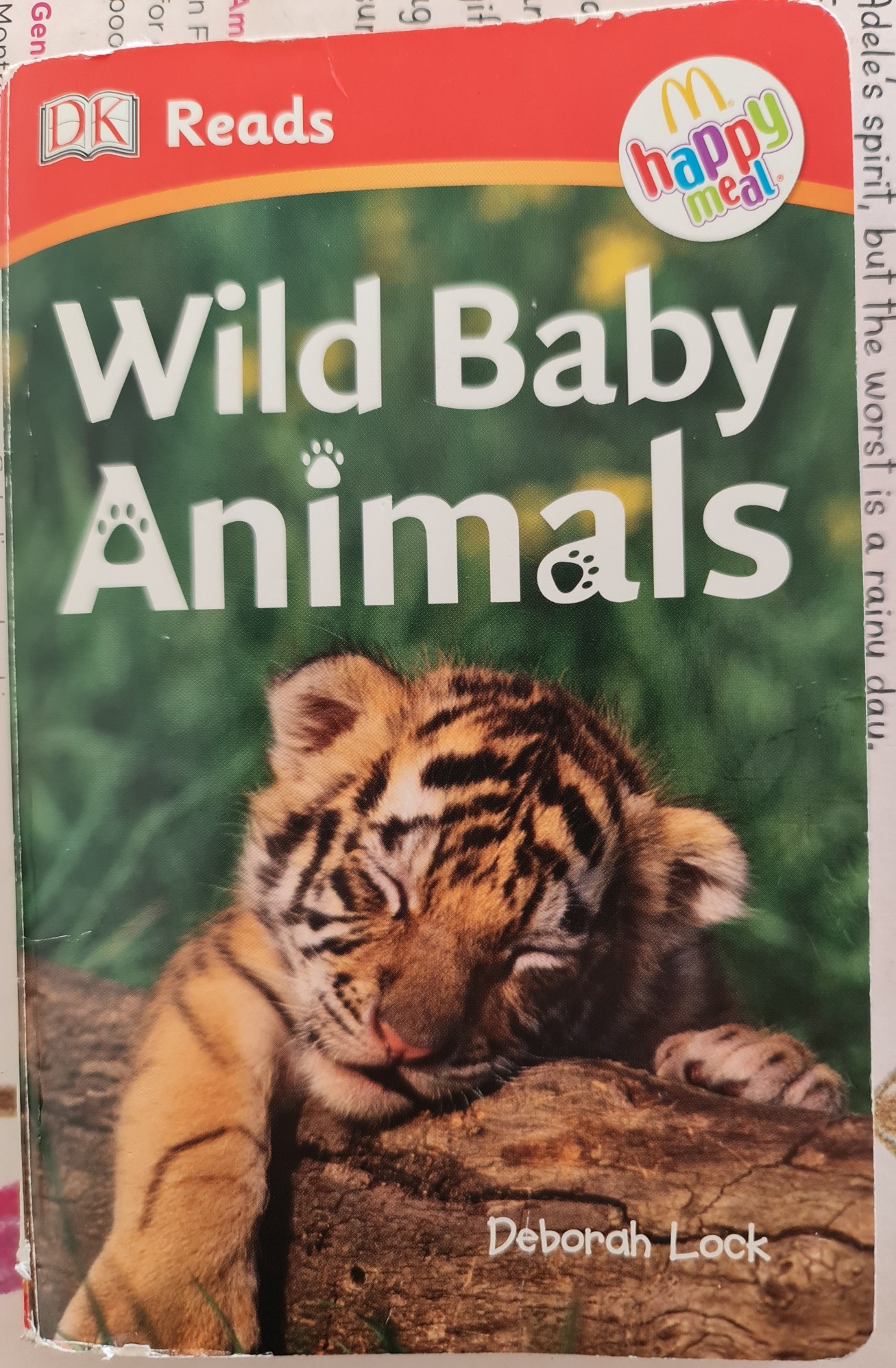 wild baby animals