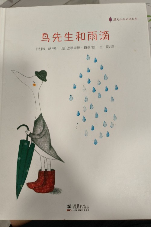 鳥先生和雨滴