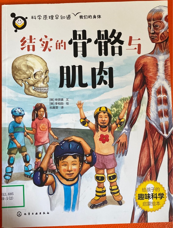 結(jié)實的骨骼與肌肉