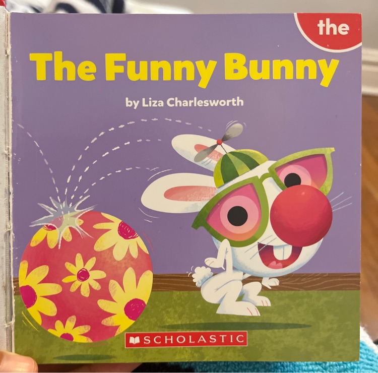 The Funny Bunny