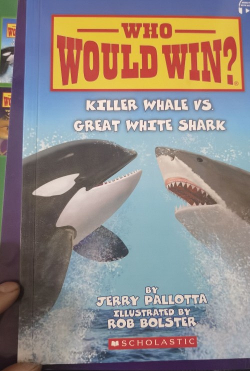 Who Would Win? Killer whales vs great white shark