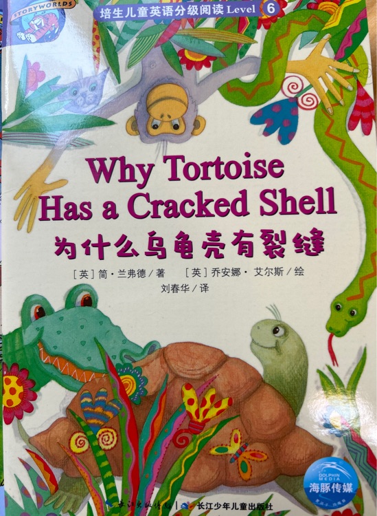 Why tortoise has a cracked shell