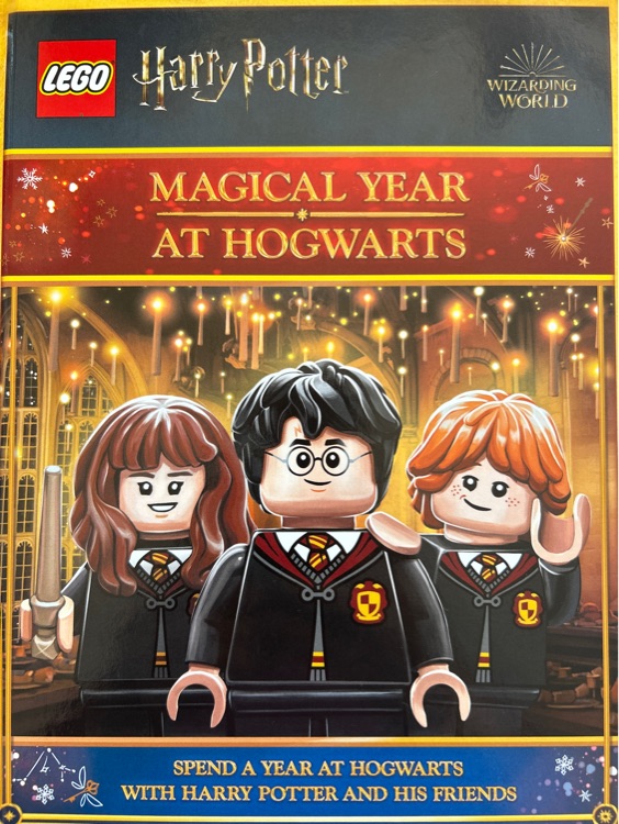 Magical year at hog warts