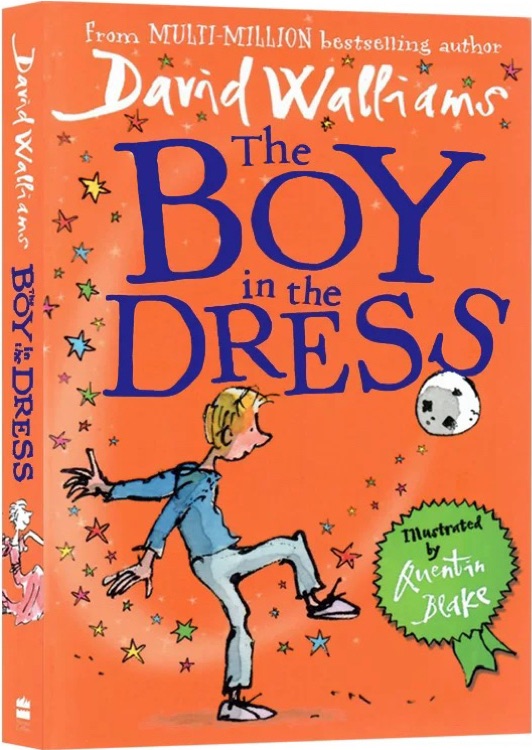 The Boy in the Dress