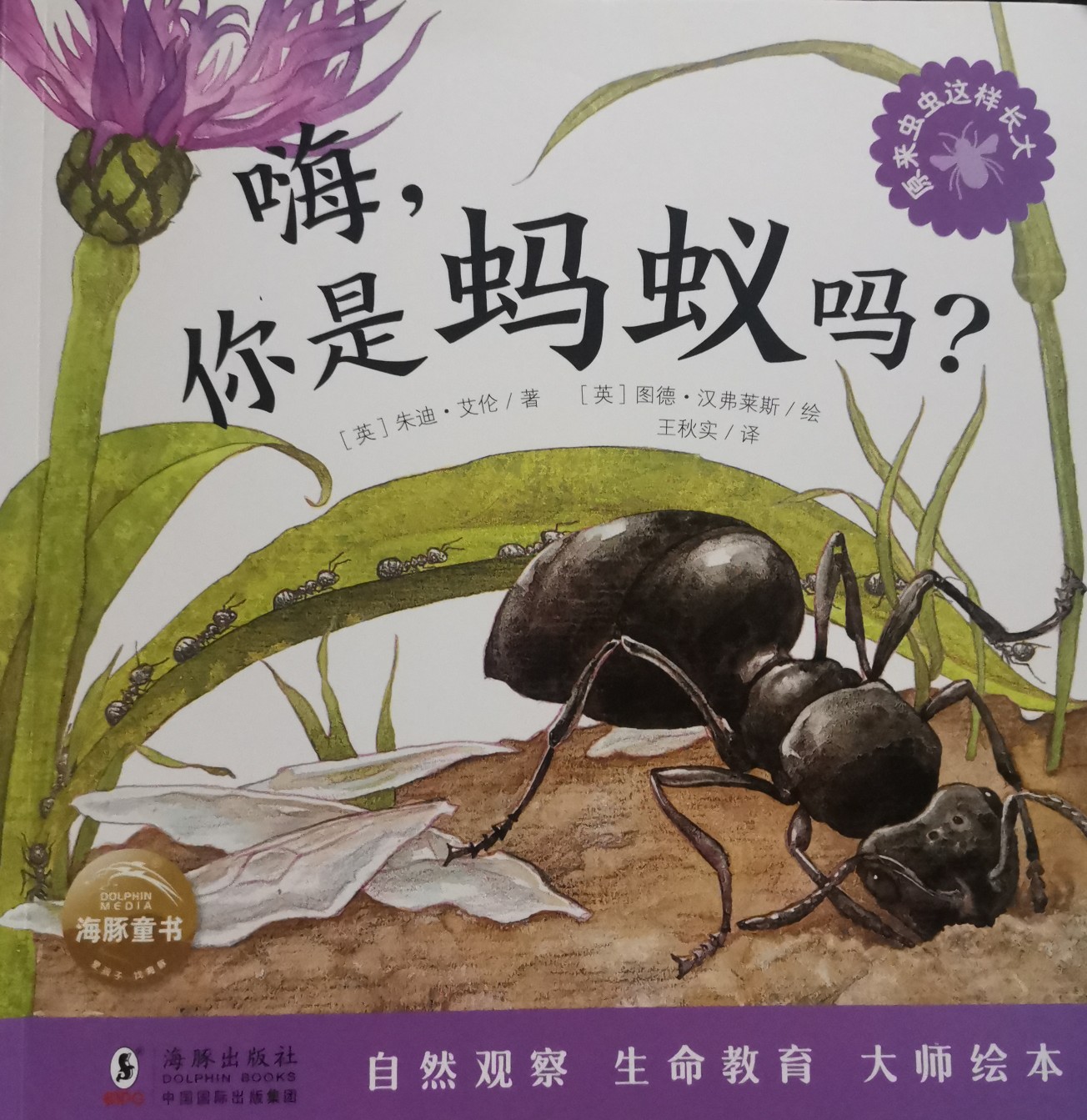 嗨, 你是螞蟻嗎?