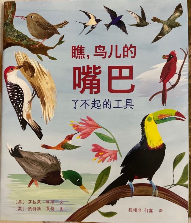 瞧, 鳥兒的嘴巴