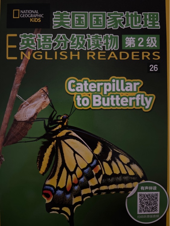 美國(guó)國(guó)家地理英語(yǔ)分級(jí)讀物 第2級(jí) Caterpillar to butterfly