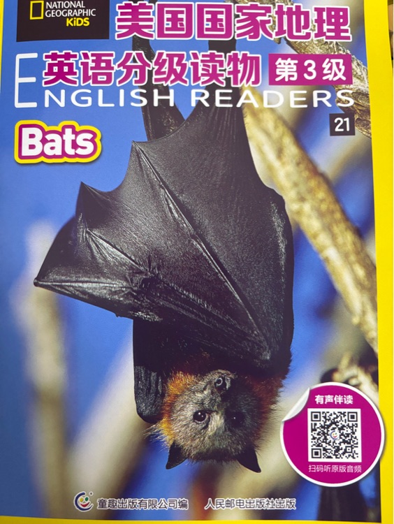 美國國家地理英語分級(jí)讀物第3級(jí) Bats