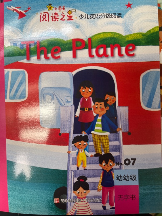 the plane