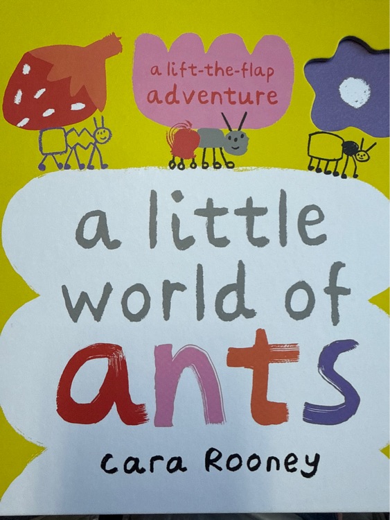 A little world of ants